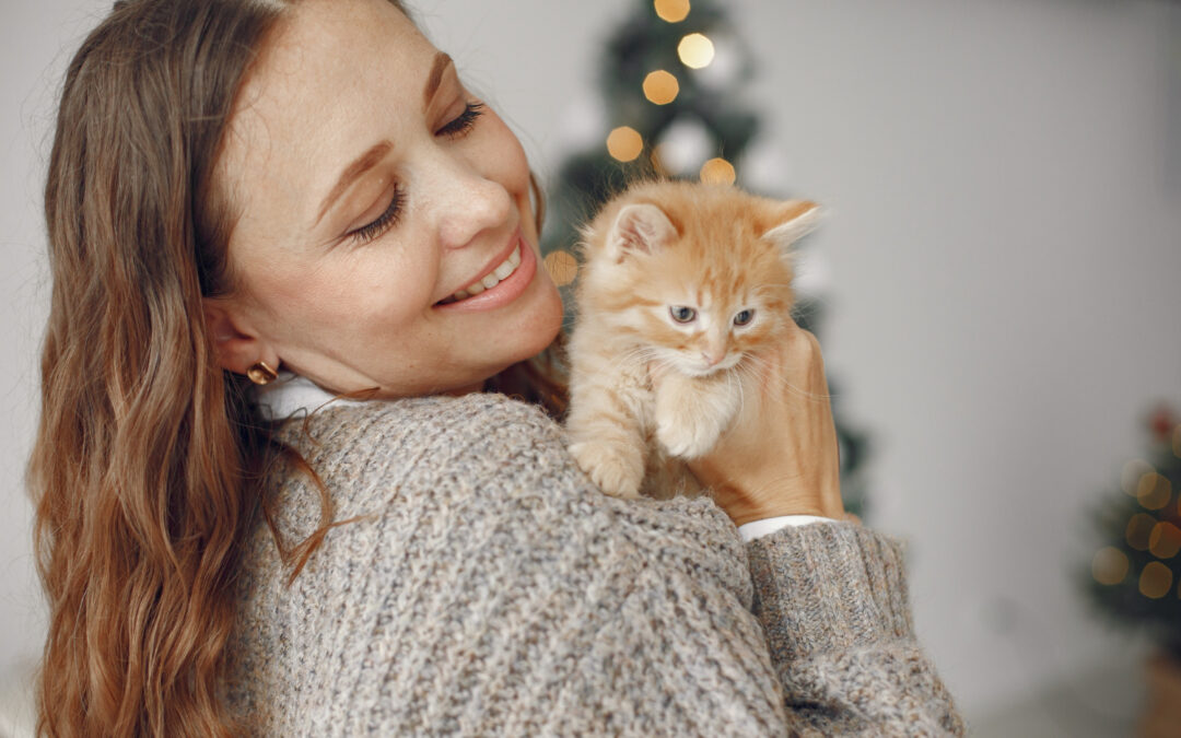 Katte til salg – find din nye ven hos dyreportal.dk