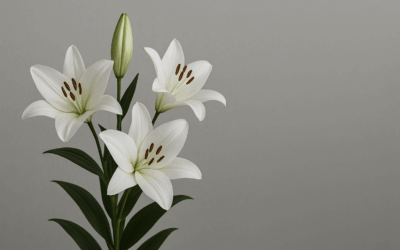 Professionelle tjenester kan støtte arbejdspladsen i sorghåndtering