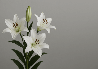 Professionelle tjenester kan støtte arbejdspladsen i sorghåndtering