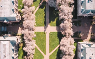 At vælge den rette uddannelsesvej for fremtiden