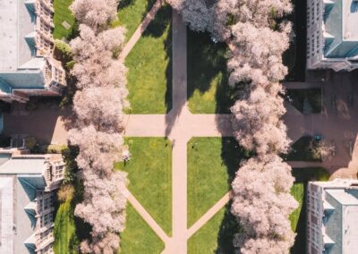 At vælge den rette uddannelsesvej for fremtiden